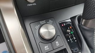Lexus NX 2.5 300h F Sport Panorámico 4WD