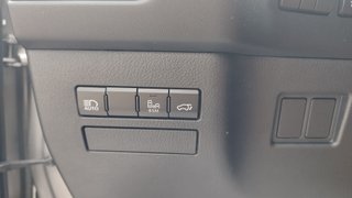 Lexus NX 2.5 300h F Sport Panorámico 4WD