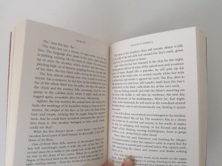 Libro Hamnet
