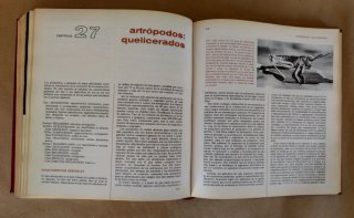 La Ciencia de la Zoología