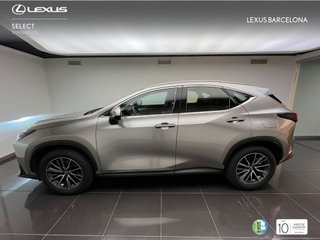 Lexus NX350H BUSINESS CITY 4WD 2023 REF 3548