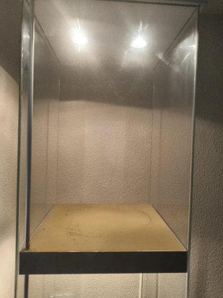 Vitrina expositor cristal con luz