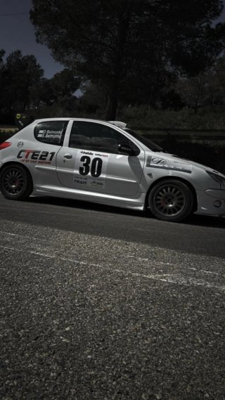 Peugeot 206 2001
