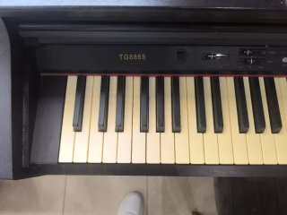 Piano Digital Ringway TG8865