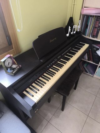 Piano Digital Ringway TG8865