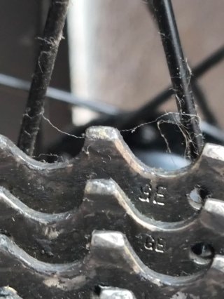 Roda Ambrosio Estrada ETRTO 622-14 DIN