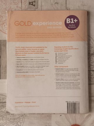 Gold Experience 2nd Edition B1+ Workbook