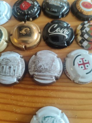 Collezione 11 Tappi di Cava + Omaggio