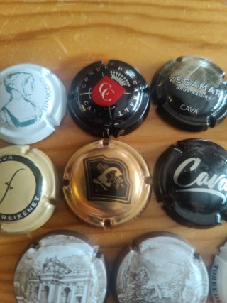 Collezione 11 Tappi di Cava + Omaggio