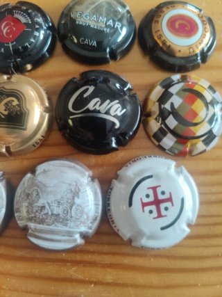 Collezione 11 Tappi di Cava + Omaggio