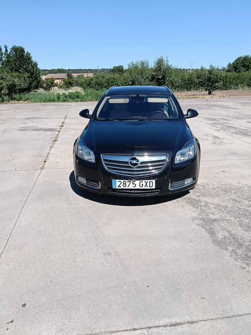 Opel Insignia 2010 160cv ULTIMO PRECIO - foto 1