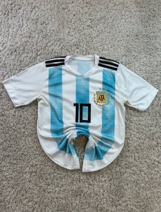 Camiseta Argentina Mundial 10