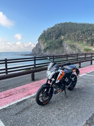 KTM Duke 125 2015 Naked
