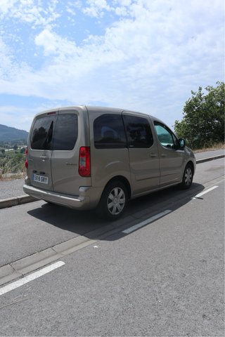Citroen Berlingo 2009