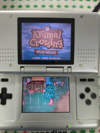 Animal Crossing: Wild World Nintendo DS