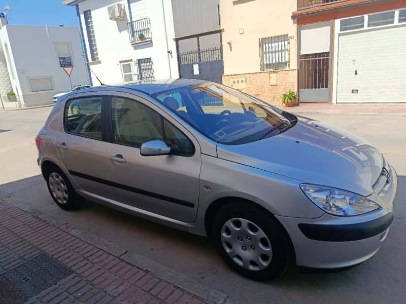 Peugeot 307 2005 - foto 1