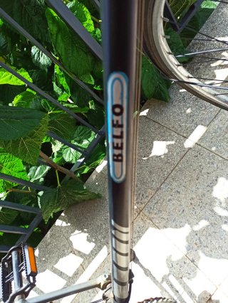 Bicicleta Clásica Belfo Negra
