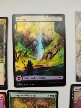 Lote Cartas Magic: The Gathering