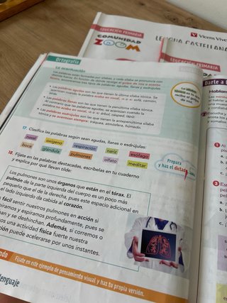 Lengua Castellana y Literatura 4, Educación Pri...
