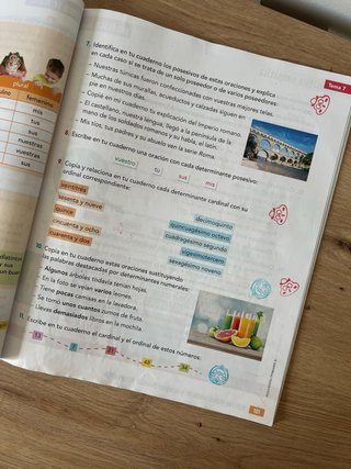 Lengua Castellana y Literatura 4, Educación Pri...