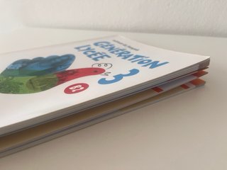 GENERATION LYCEE B2 ELEVE/CAHIER+CD+DVD