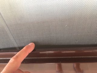 Puerta aluminio nogal con mosquitera