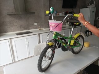 Bicicleta infantil 16 DHS Speed + ruedines