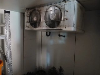 Cámara frigorífica