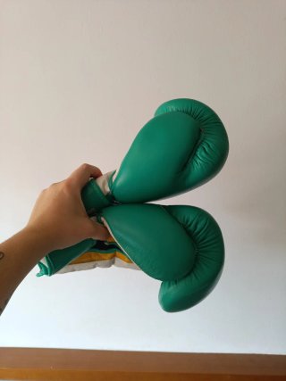 Guantes de boxeo Fujimae verdes