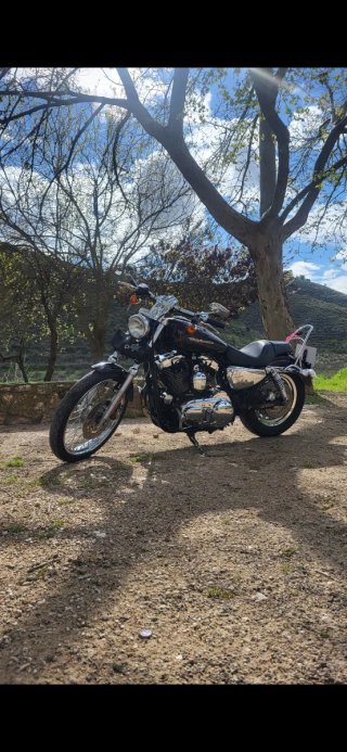 Harley Davidson Sportster 1200 Custom XL