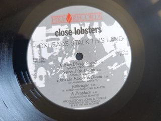 CLOSE LOBSTERS - FOXHEADS STALK THIS LAND
