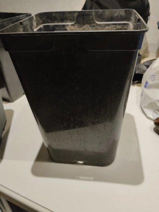 Variedad de macetas cuadrada de plástico negro