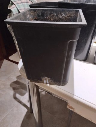 Variedad de macetas cuadrada de plástico negro