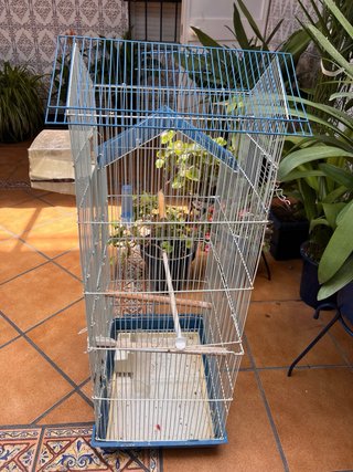 Jaula Loros 1m x 45cm