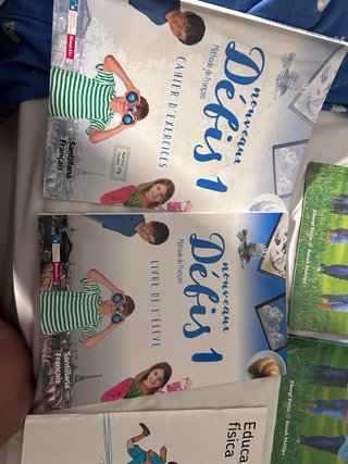 Libros texto 4 primaria, Santillana, Frances