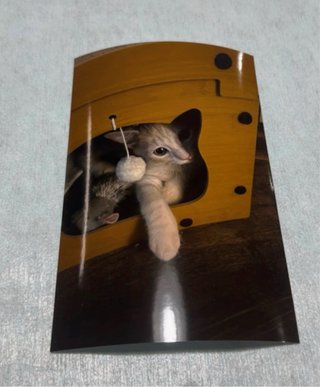 Fotos personalizadas