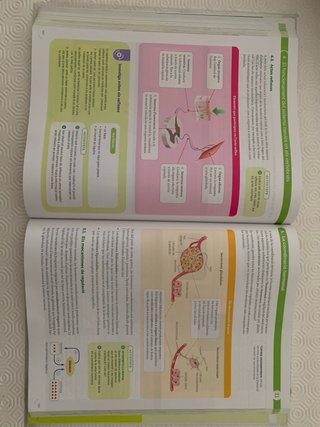 BIOLOGIA 1 BTX CONSTRUINT MONS