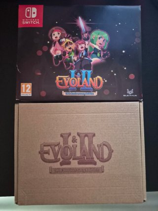 Juego Nintendo Switch Evoland 1&2