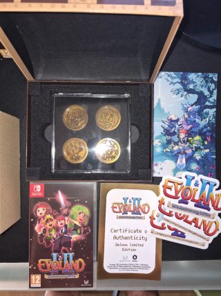 Juego Nintendo Switch Evoland 1&2