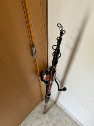 Caña de pescar con carrete