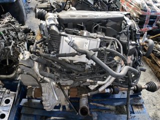 Motor Ford 1.5 Edge, Focus, Kuga, Fiesta
