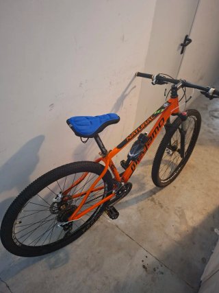 Bicicleta Montaña 29
