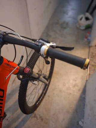 Bicicleta Montaña 29