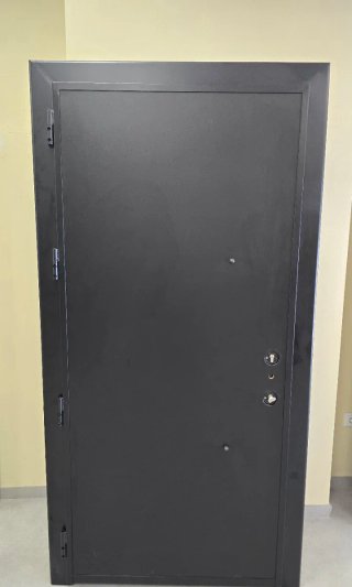 Puerta Acorazada Negra Tex 9005