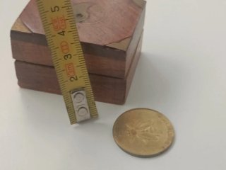Moneda con diseño de insecto en preciosa cajita