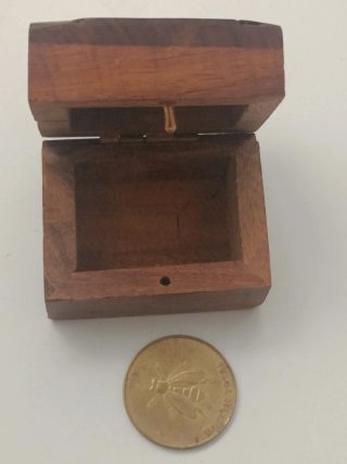 Moneda con diseño de insecto en preciosa cajita