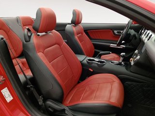 Ford Mustang 2.3 EcoBoost 231kW Mustang Aut. (Conv.)