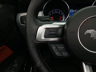 Ford Mustang 2.3 EcoBoost 231kW Mustang Aut. (Conv.)
