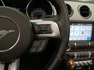 Ford Mustang 2.3 EcoBoost 231kW Mustang Aut. (Conv.)