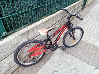 Bici MTB niño 20 WRC